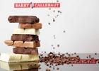 Barry Callebaut ouvre une nouvelle ligne de production de chocolat à Singapour